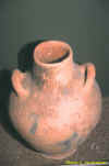 neol02.jpg (52479 bytes)